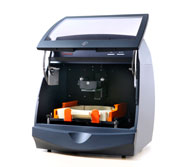 s-Life & Challenge (1).jpg